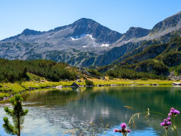 Plan Your Perfect Pirin National Park Road Trip by Car